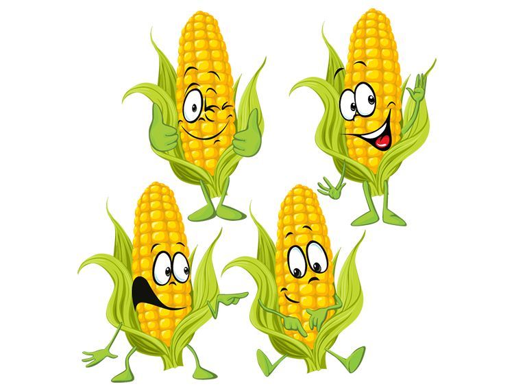 Do you really know well about corn